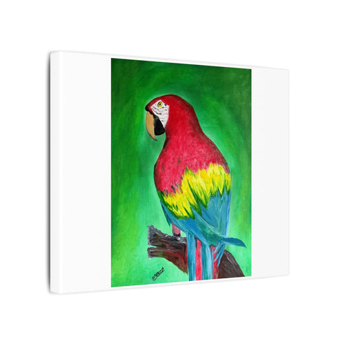 Matte Canvas, Stretched, 0.75" (Multi-Size)