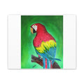 Matte Canvas, Stretched, 0.75" (Multi-Size)