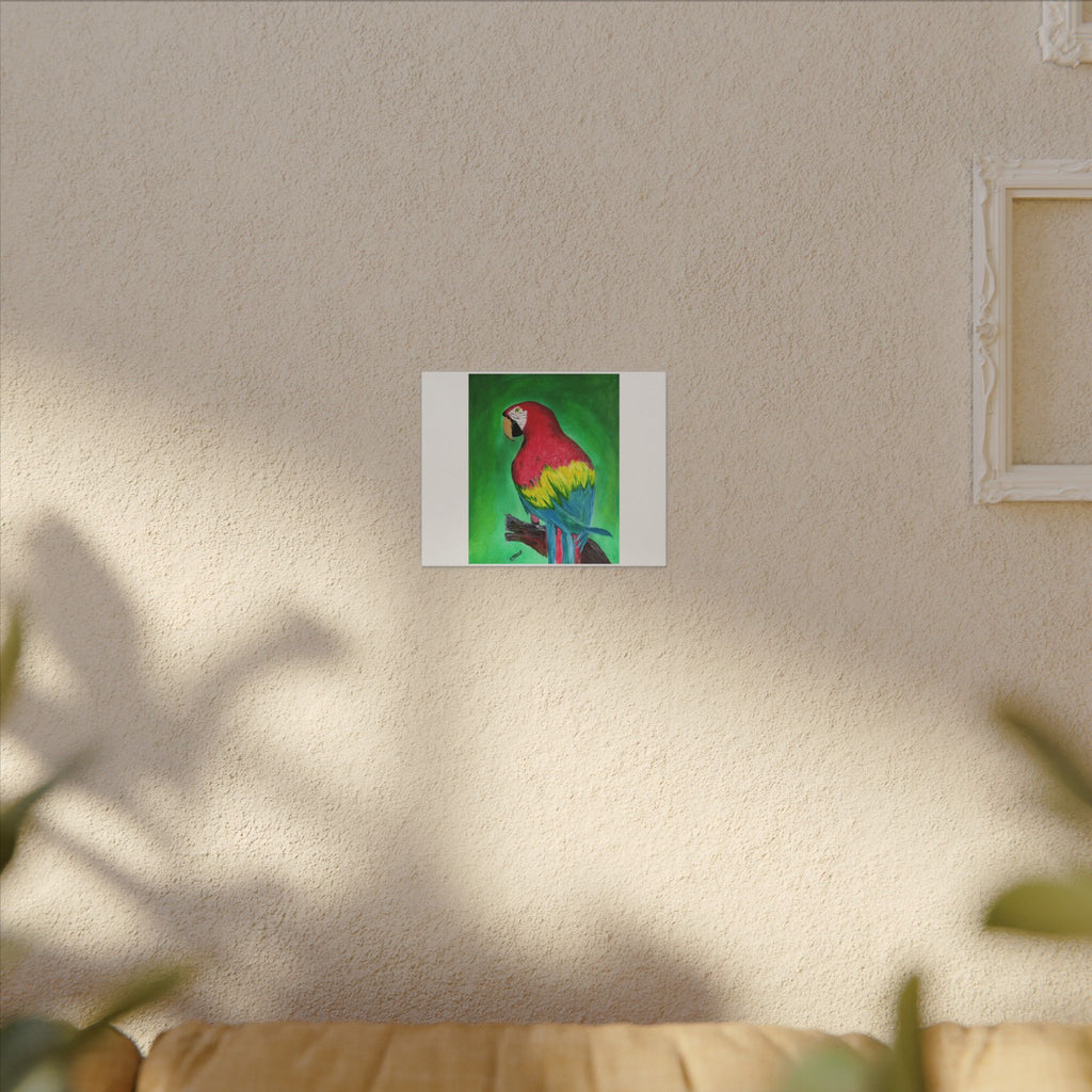 Matte Canvas, Stretched, 0.75" (Multi-Size)